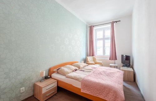 Decin Apartment | Spacious Apartment Děčín