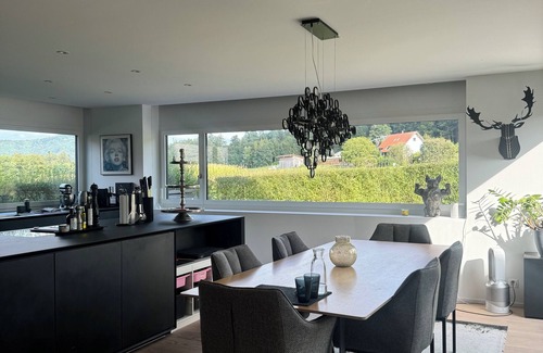 Alt-Wiedikon Villa | Spacious home away from home. Beautiful surroundings and very close to the city