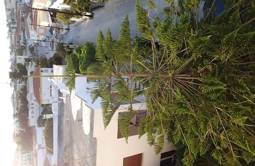 Kranidi Apartment | Spacious, quiet, 2nd floor apartment with the beach only 6km away by push bike.