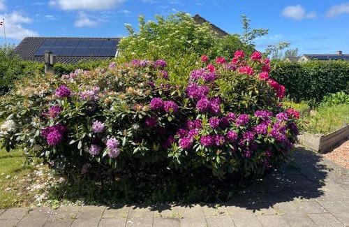 Hjørring Apartment | Spangkærparken Holiday