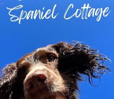 Stoke-sub-Hamdon House | Spaniel Cottage with views of Ham hill, Stoke sub Hamdon