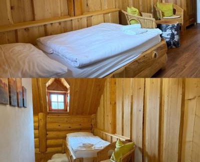 Novy Jicin Hotel | Srub u Medvěda