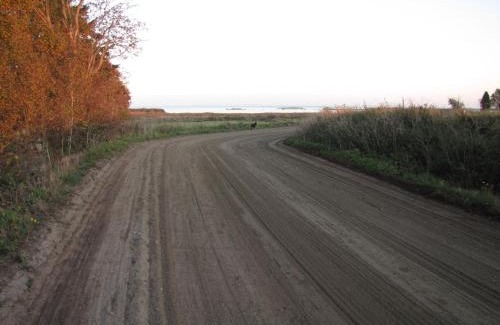 Fagelmara Apartment | Stålemara Gård Prutgåsen