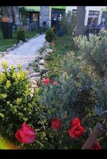 Casteil Bed & Breakfast | St Martin du canigou Chambres et Table d'hôtes de charme