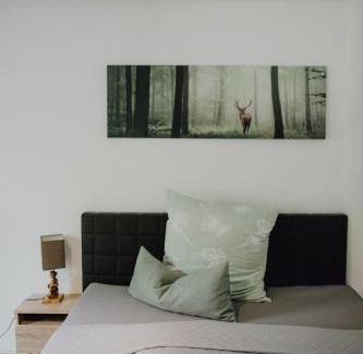 Forchheim Apartment | Stadt Land Fluss Boutique Aparthotel by Zollhaus