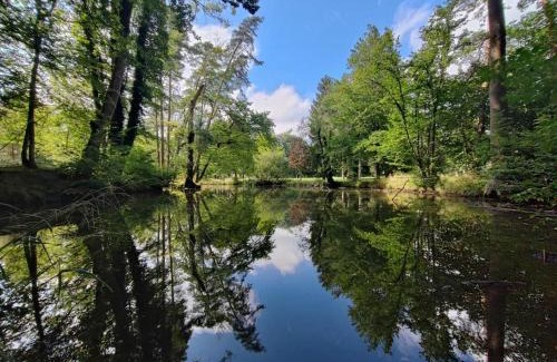 Kisslegg House | -Stadthaus Ida- Mit großer Dachterasse, am Schloßpark, Luftkurort Kißlegg, Boxspringbetten, Kaffeevollautomat, SmartTV, familienfreundlich, großzügig, zentral