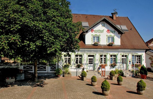 Breisach Apartment | Standard Doppelzimmer mit Dusche/WC