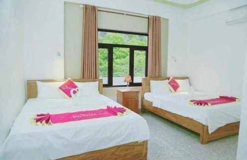 Phong Nha Hotel | Starlet Hotel Phong Nha