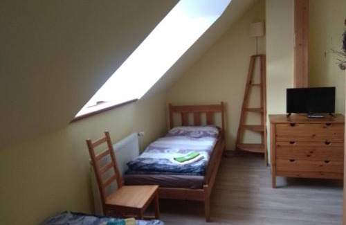 Olsany Hotel | Statek Olšany