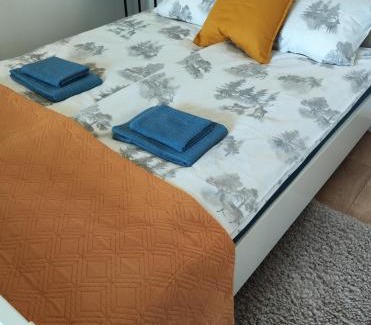 Sigulda Apartment | Station street apartments