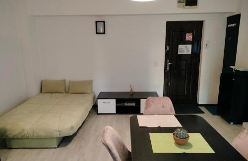 Iasi Apartment | Stefan Apart Iași centru Palas