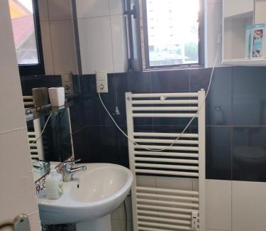 Iasi Apartment | Stefan Apart Iași centru Palas