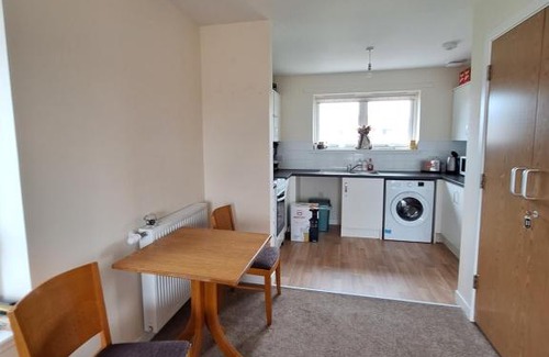 Elgin Apartment | StefBro
