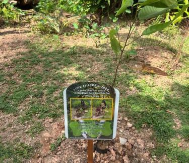 Minuwangoda Hotel | Steps Garden Resort