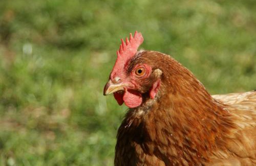 Varde Municipality Apartment | Stilbjerg Sleep&Hygge