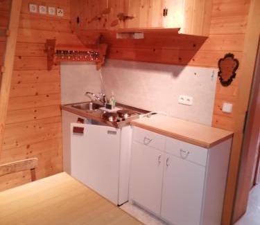 Aich Apartment | Stoderhütte
