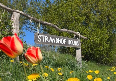 Gluecksburg House | Strandhof Holnis