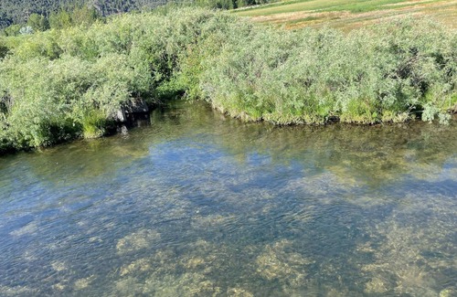 Carbondale House | Streamside Paradise - back to fly fishing and open space