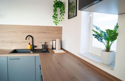 Marbach am Neckar Apartment | Studio Apartment Marbach