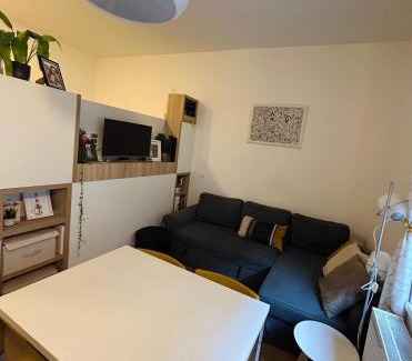 Donji Grad Apartment | Studio Apartment Ivy