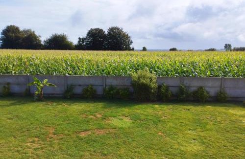 Tremuson Apartment | Studio au calme avec jardin