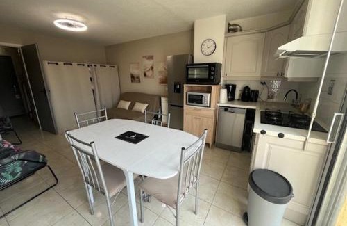Cap d'Agde Apartment | Studio cabine rénové 4 personnes avec animaux admis - FR-1-749-104