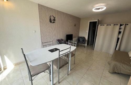 Cap d'Agde Apartment | Studio cabine rénové 4 personnes avec animaux admis - FR-1-749-104