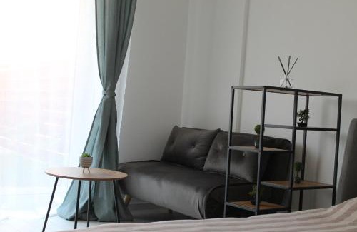 Popesti-Leordeni Apartment | Studio cu grădina proprie