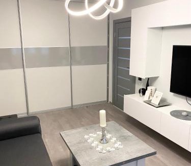 Panevezys Apartment | Studio flat in Panevezys