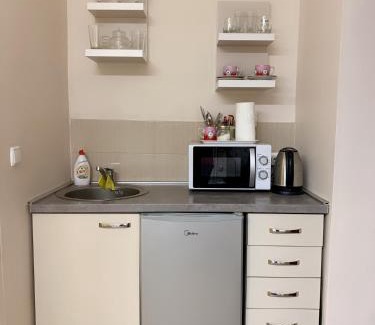 Satu Mare Apartment | Studio Gaby