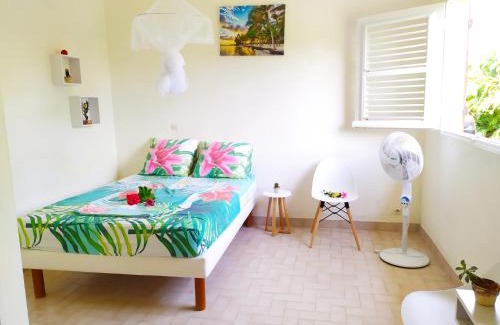 Ducos Apartment | Studio Goyave