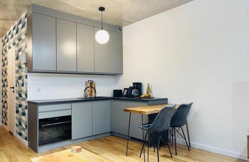 Gliwice Apartment | Studio Mango w/Patio & Parking