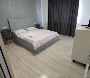 Vata de Jos Apartment | Studio Vata