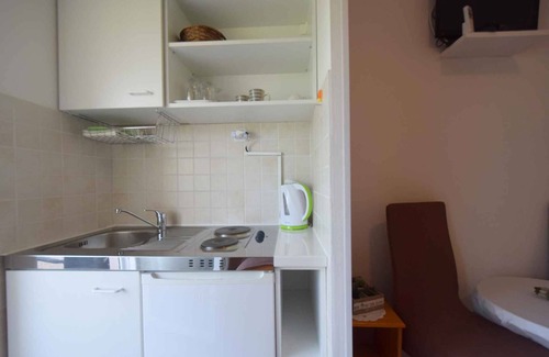 Milcetici Apartment | Studio with balcony and air conditioning