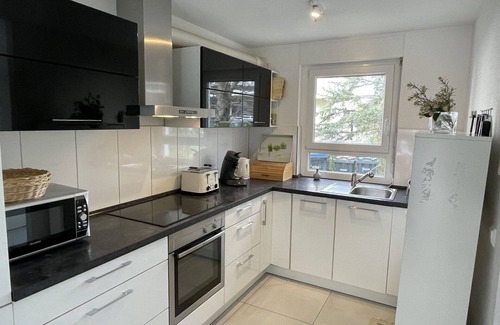 Breisach House | Stunning villa for 6 people with WIFI, TV and terrace