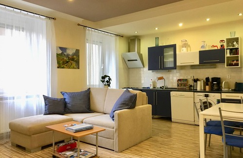 Old Town Apartment | Stylish Apt. Blue -Great Location! AC+Washer&Dryer+Free safe parking 5mins away