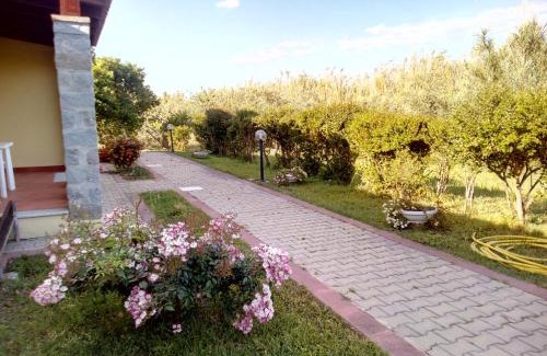 Tortoli Hotel | Su Pasu