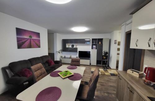 Bistrita Apartment | Subcetate Residence