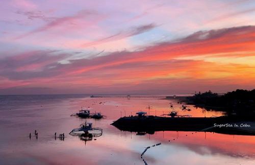 Lapu-Lapu Resort | Sugarsea Inn & Dive shop