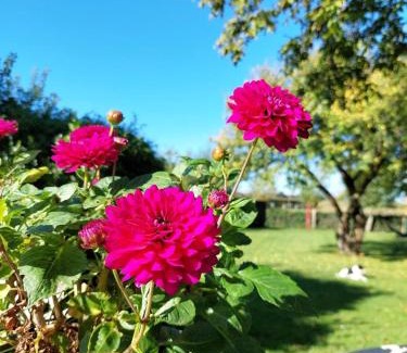 Zonnemaire Apartment | Suite School 15 B