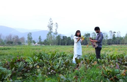 Bullawala Resort | Sukoon - A Wellness Resort, Uttarakhand