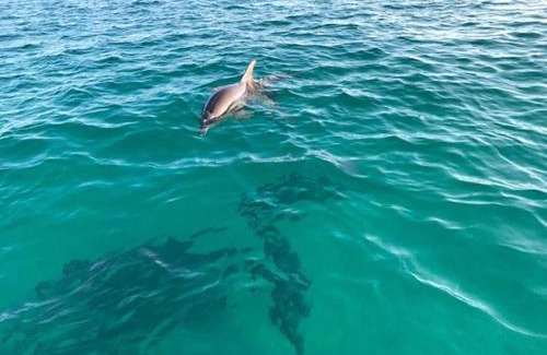 Laguna Beach Estates Apartment | Sunny Daze Cottage by Beach Haven Vacation Rentals