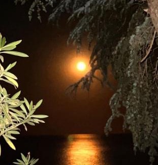 Pirgadikia Apartment | SUNRISE ENDLESs VIEW APARTMENT