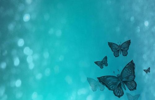 Pimple Saudagar Apartment | Sunshinee