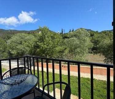 Borjomi Apartment | Svani