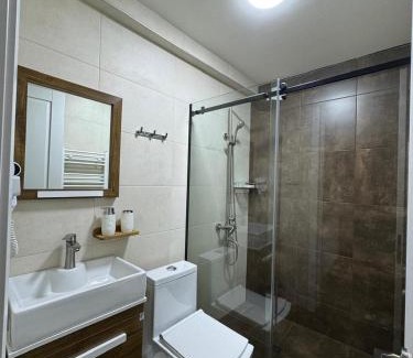 Borjomi Apartment | Svani