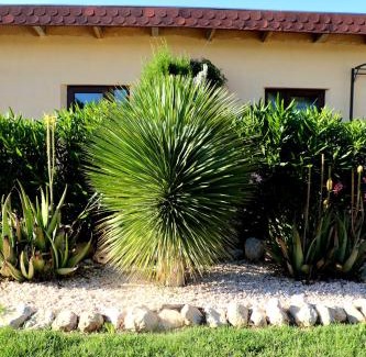 Benicolet Apartment | SVENNIISLAND®