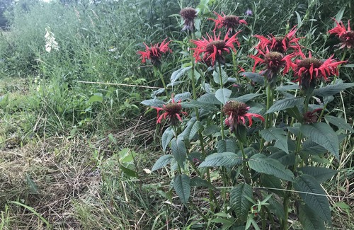 Ithaca House | Sweet Home Farmhouse