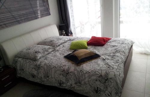 Lausanne Apartment | Swissart | Lake View