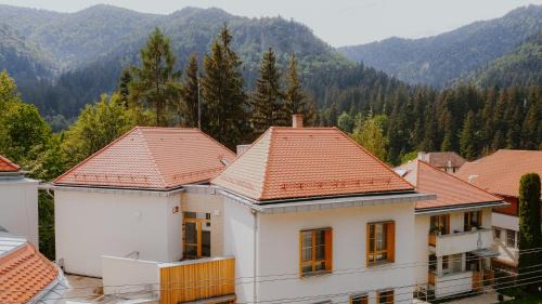 Baile Tusnad House | Szent Anna Vendégház